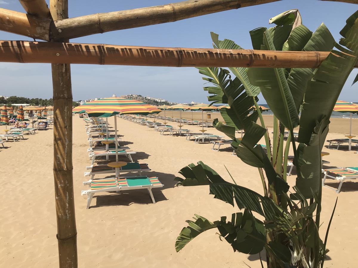 Oasi Beach Hotel Vieste Exterior photo